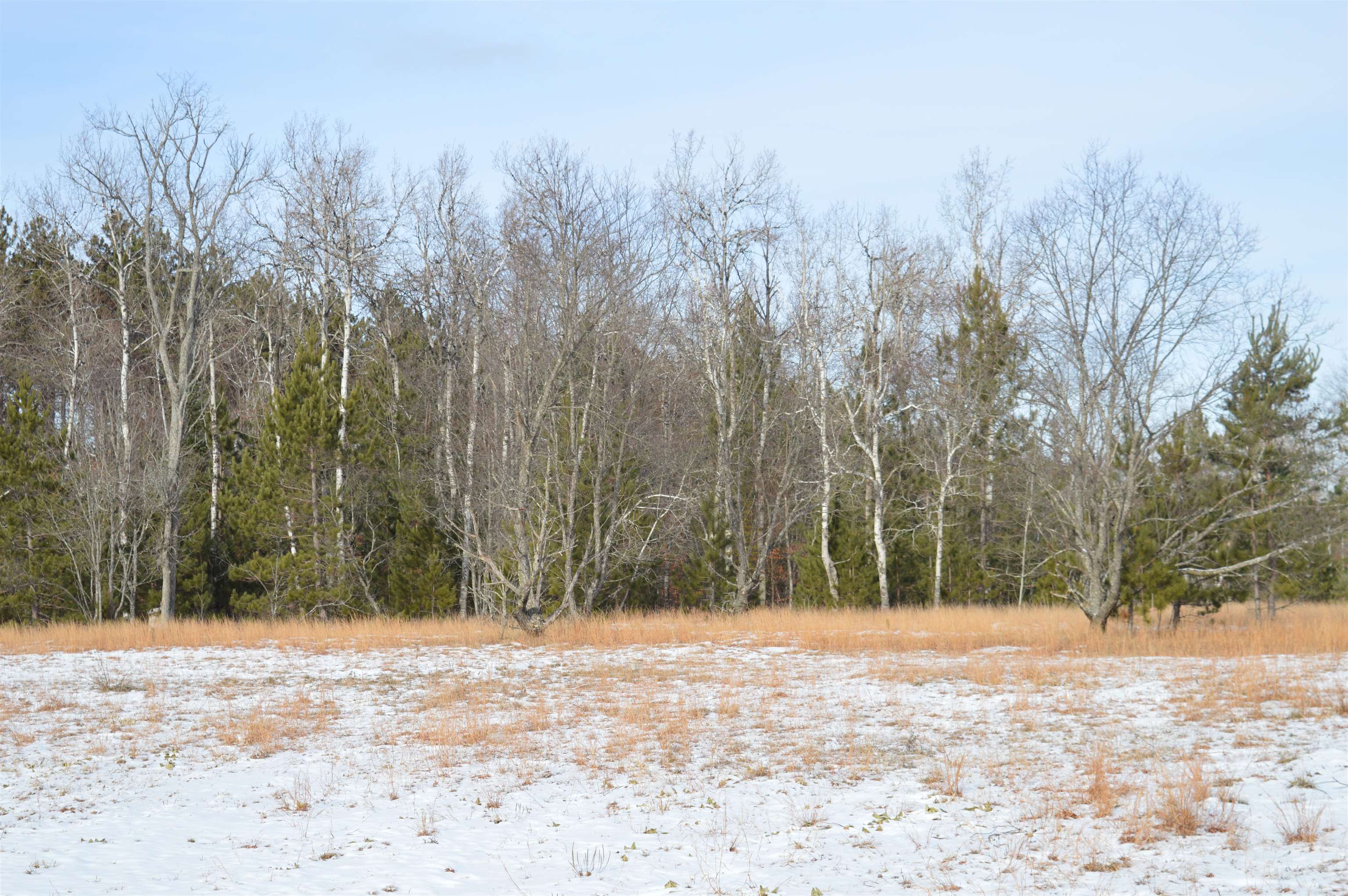 Off Wood Road Northeast Kalkaska, MI 49646 - Photo 8 of 22