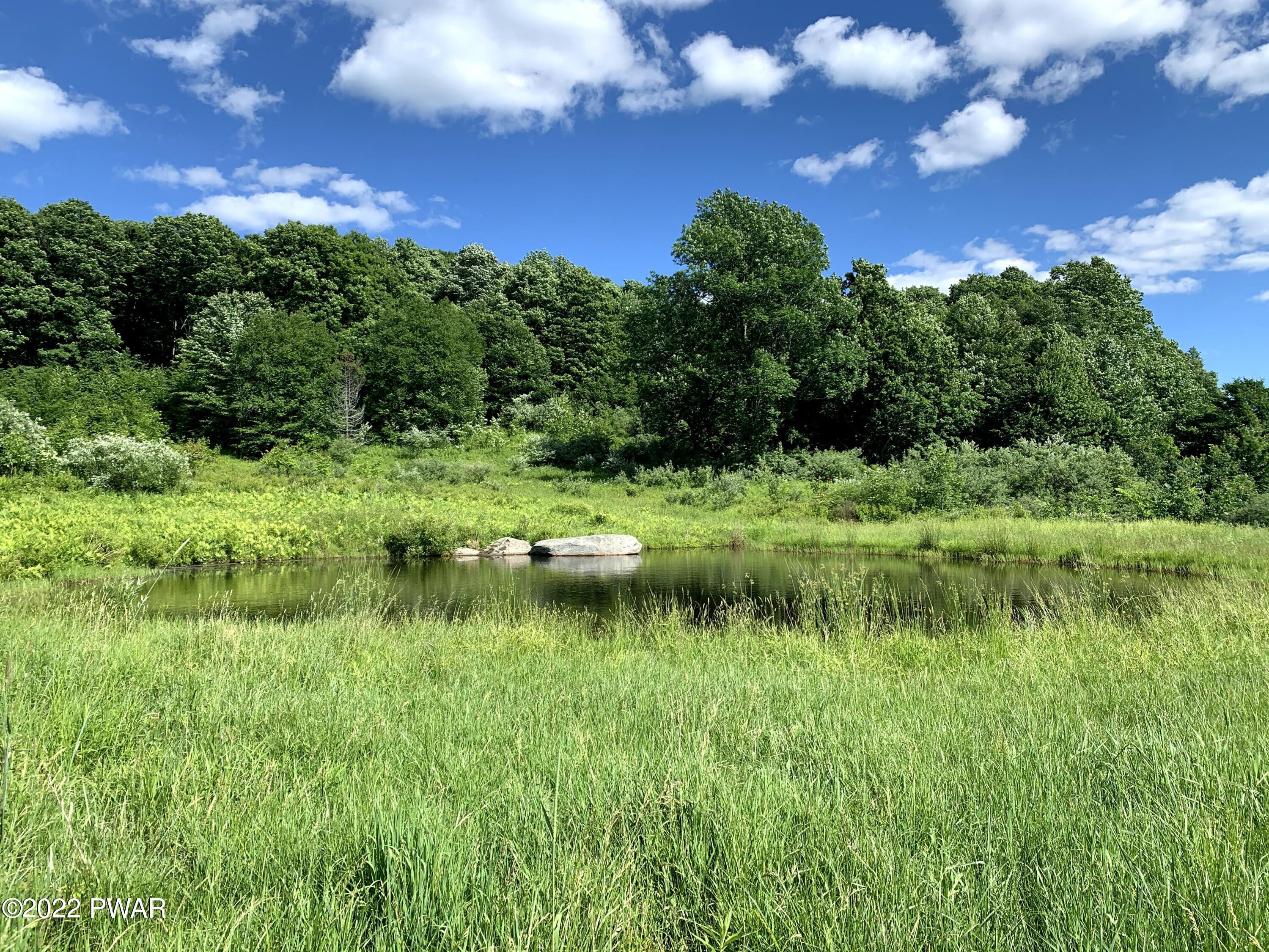 76 Schuman Road Damascus, PA 18415 - Photo 7 of 29 Pond