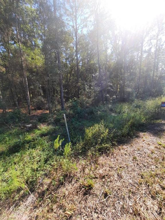 61st Pl Road Ocala, FL 34481 - Photo 1 of 1 61ST pl rd