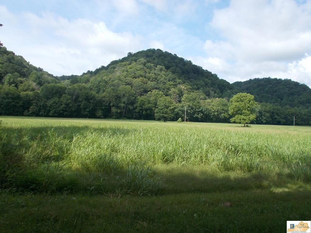 3055 Dry Creek Road Moss, TN 38575 - Photo 1 of 1 Gallery Image 1