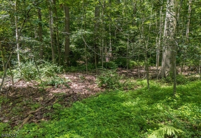 0 Sweet Hollow Road Milford, NJ 08848 - Photo 11 of 14