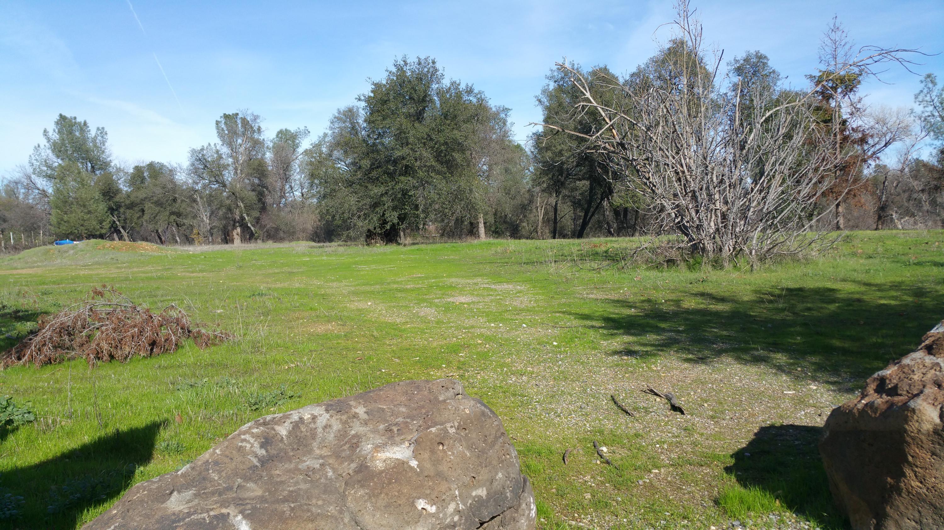 1448 Old Alturas Road Redding, CA 96003 - Photo 3 of 6 a view of a grassy field with trees