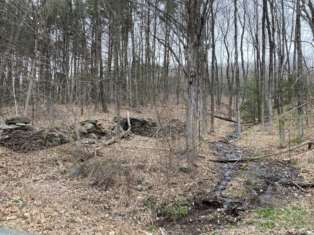 Lot 2 Mountain Road Gill, MA 01354 - Photo 2 of 4 Gallery Image 2