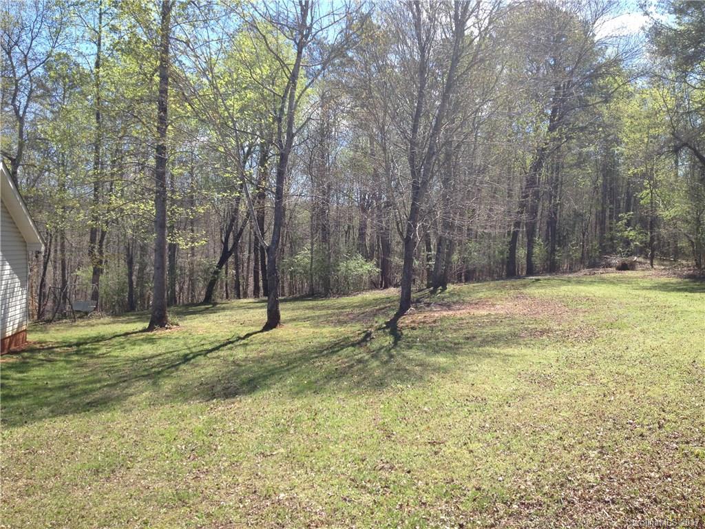 212 Bent Tree Drive Rutherfordton, NC 28139 - Photo 19 of 22
