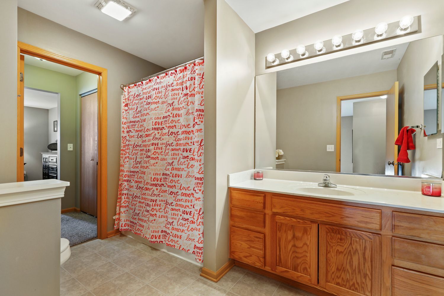 1441 Red Top Lane Minooka, IL 60447 - Photo 13 of 24 a bathroom with a sink and a mirror