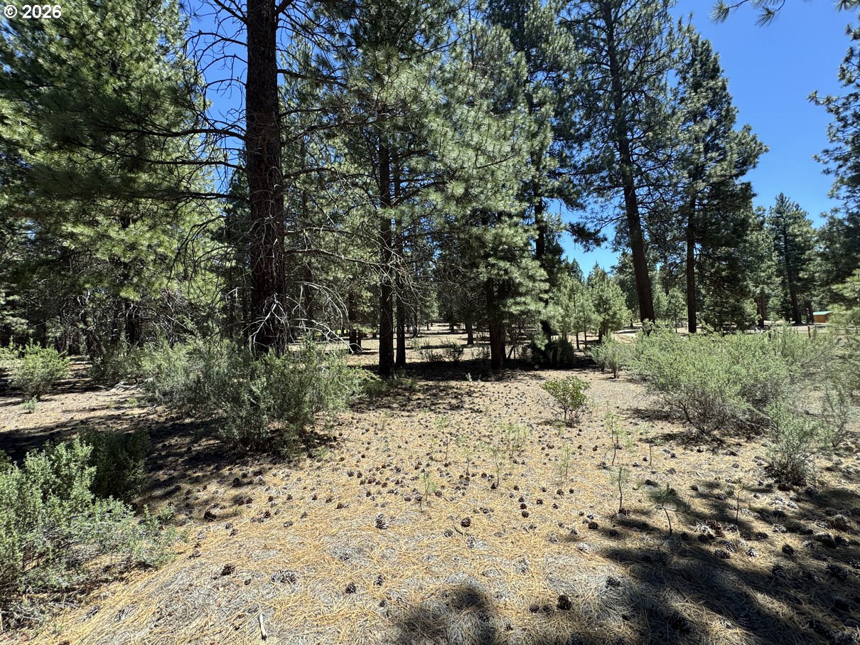 Friendship Drive, Unit 15 Chiloquin, OR 97624 - Photo 16 of 41