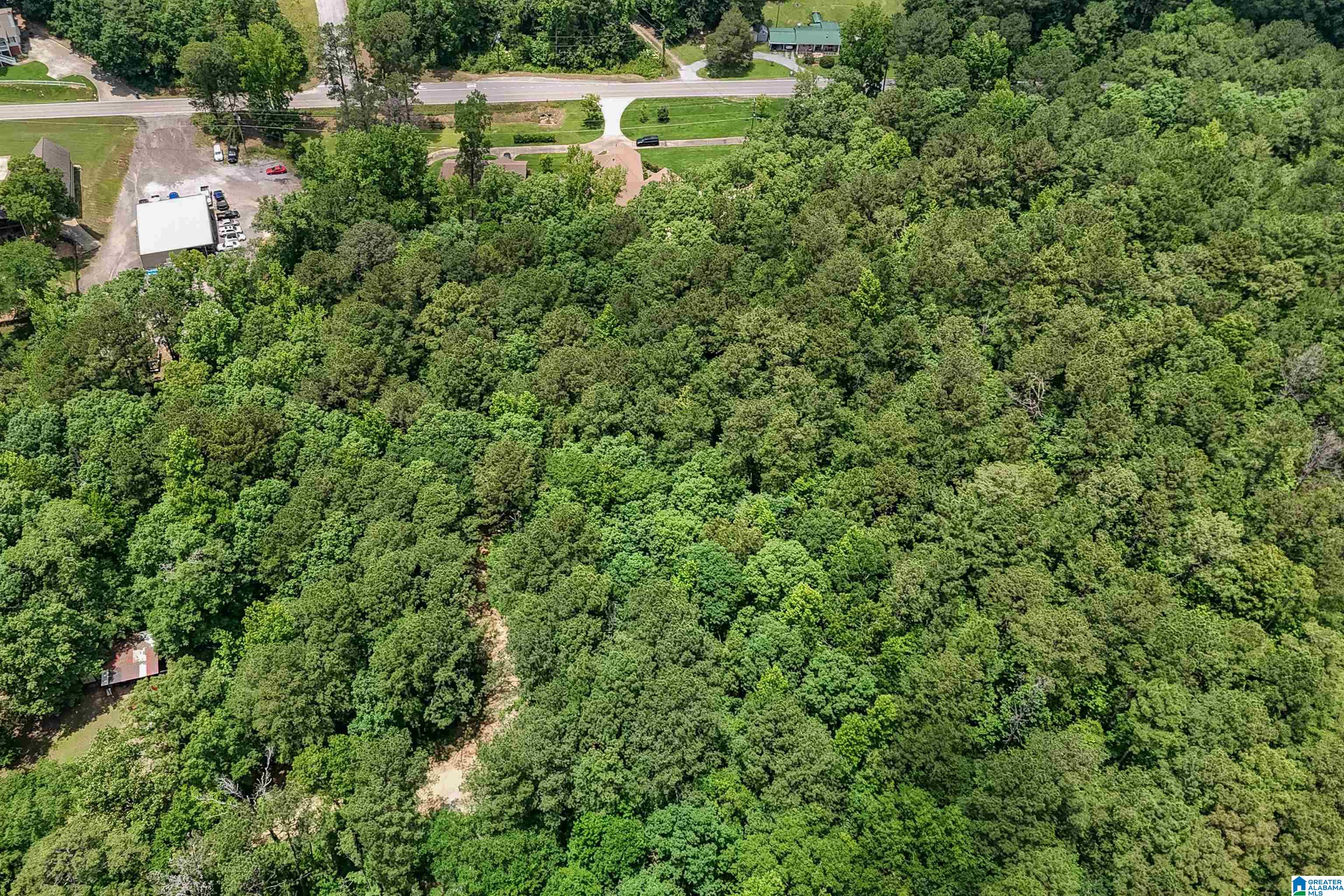 0 Red Oak Circle Helena, AL 35080 - Photo 9 of 21