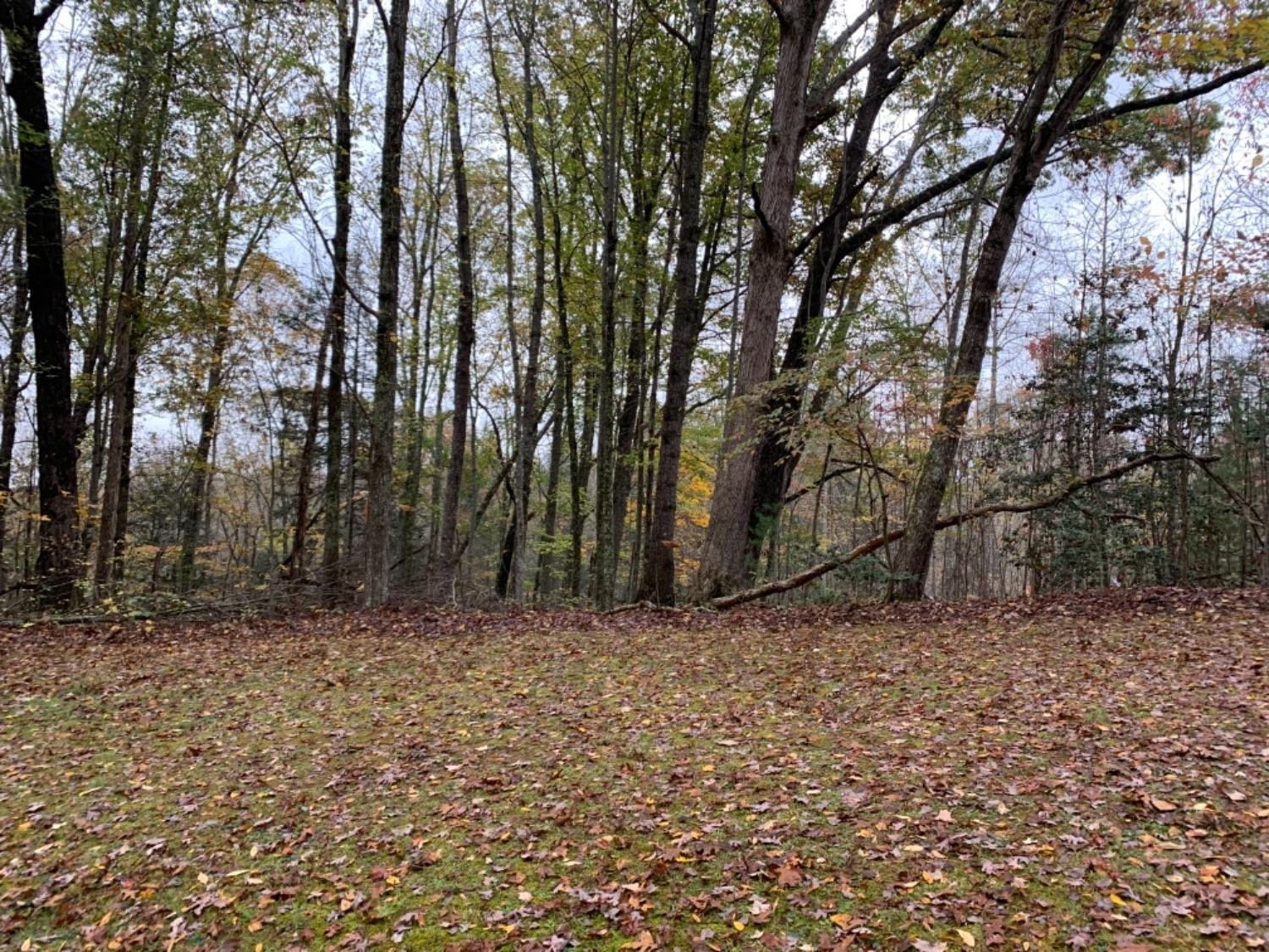37 Laurel Lake Resort Road Corbin, KY 40701 - Photo 1 of 7 Photo 1