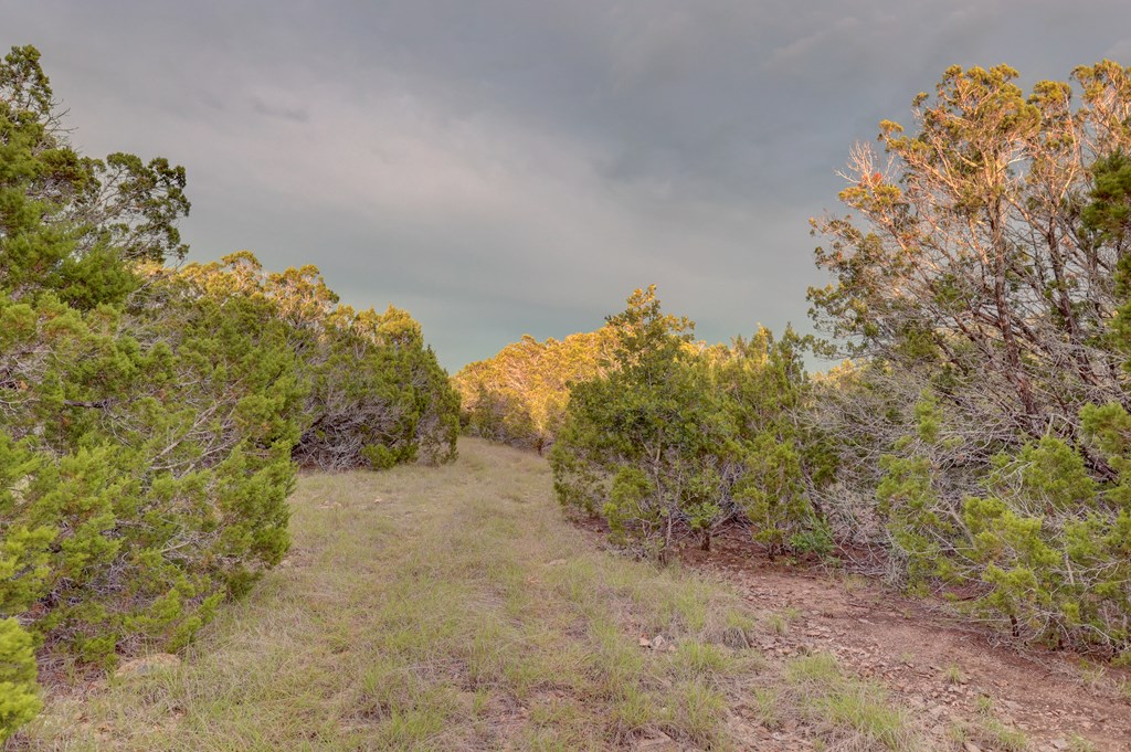 438 Yellowstone Lane Hunt, TX 78024 - Photo 25 of 47