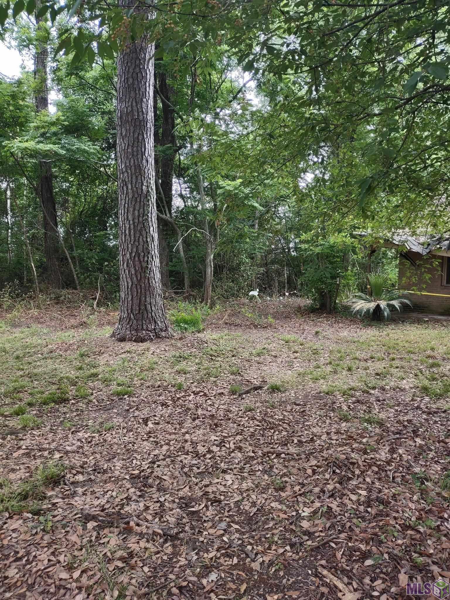14101 Florida Boulevard Baton Rouge, LA 70819 - Photo 2 of 4