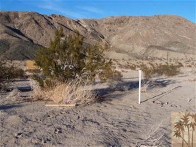 5975 Wilson Street Joshua Tree, CA 92252 - Photo 1 of 1 Primary Photo