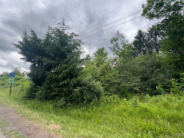 0 Peterboro Road Vernon, NY 13476 - Photo 11 of 13 Gallery Image 11