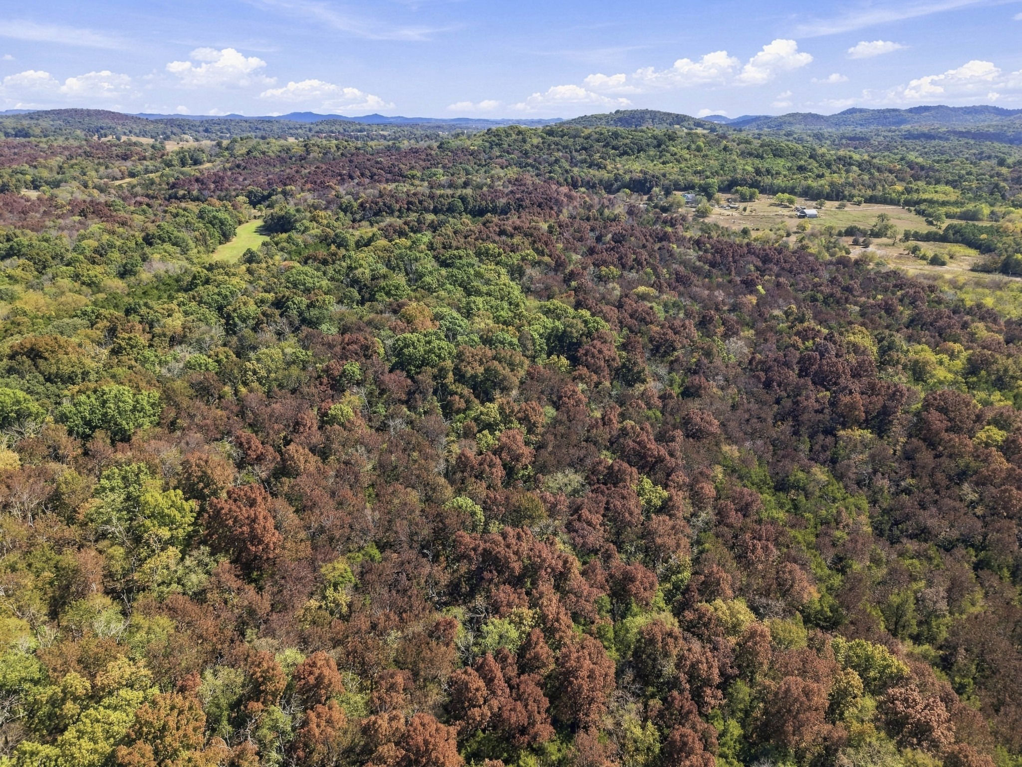 5479 Beech Log Road Lebanon, TN 37090 - Photo 23 of 24 Gallery Image 23