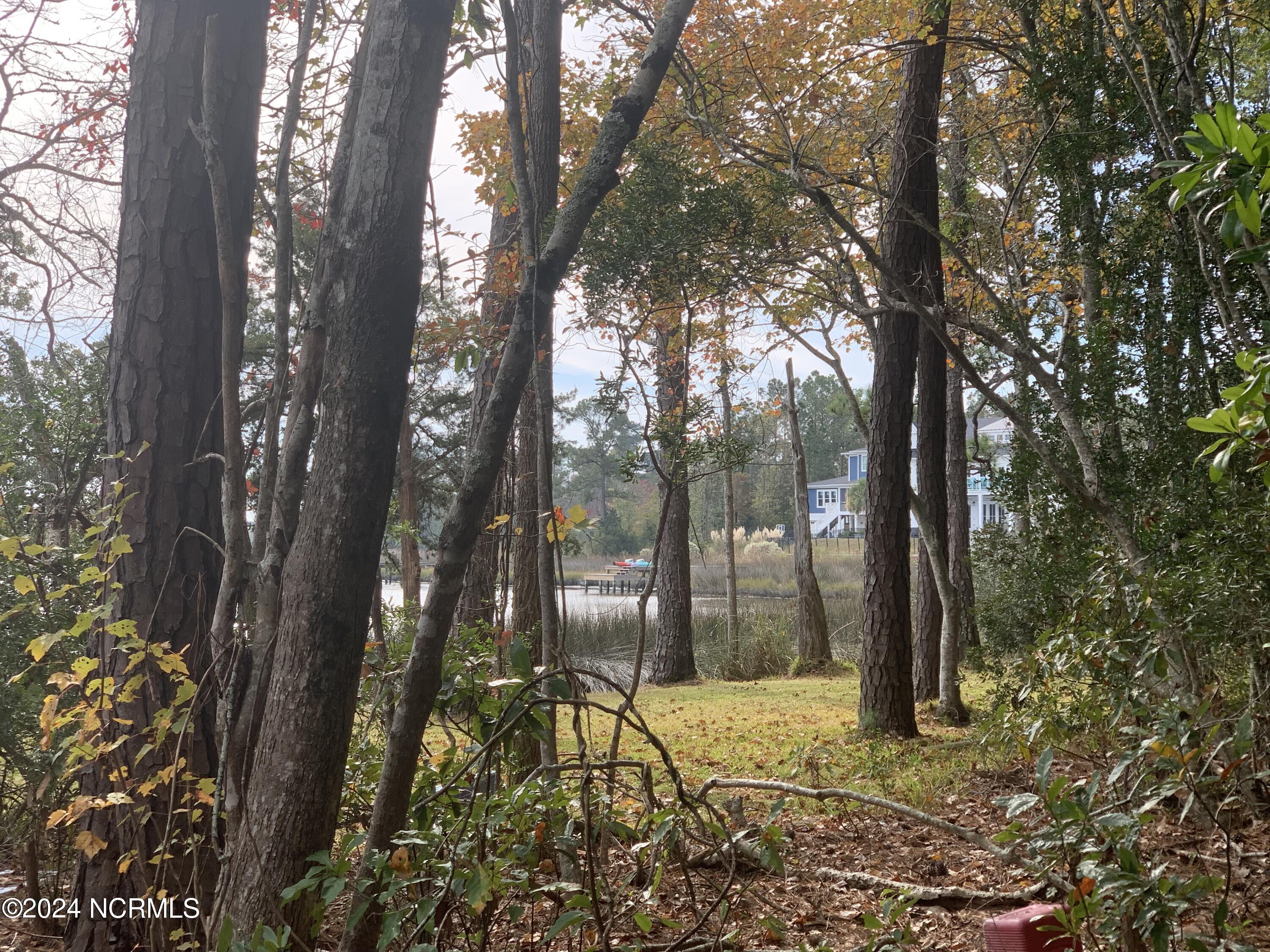 Lot 9 Bay Harbor Drive Hampstead, NC 28443 - Photo 3 of 7 Image 3