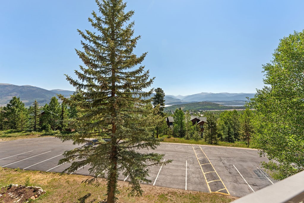 7324 Ryan Gulch Road, Unit 204 Silverthorne, CO 80498 - Photo 24 of 34