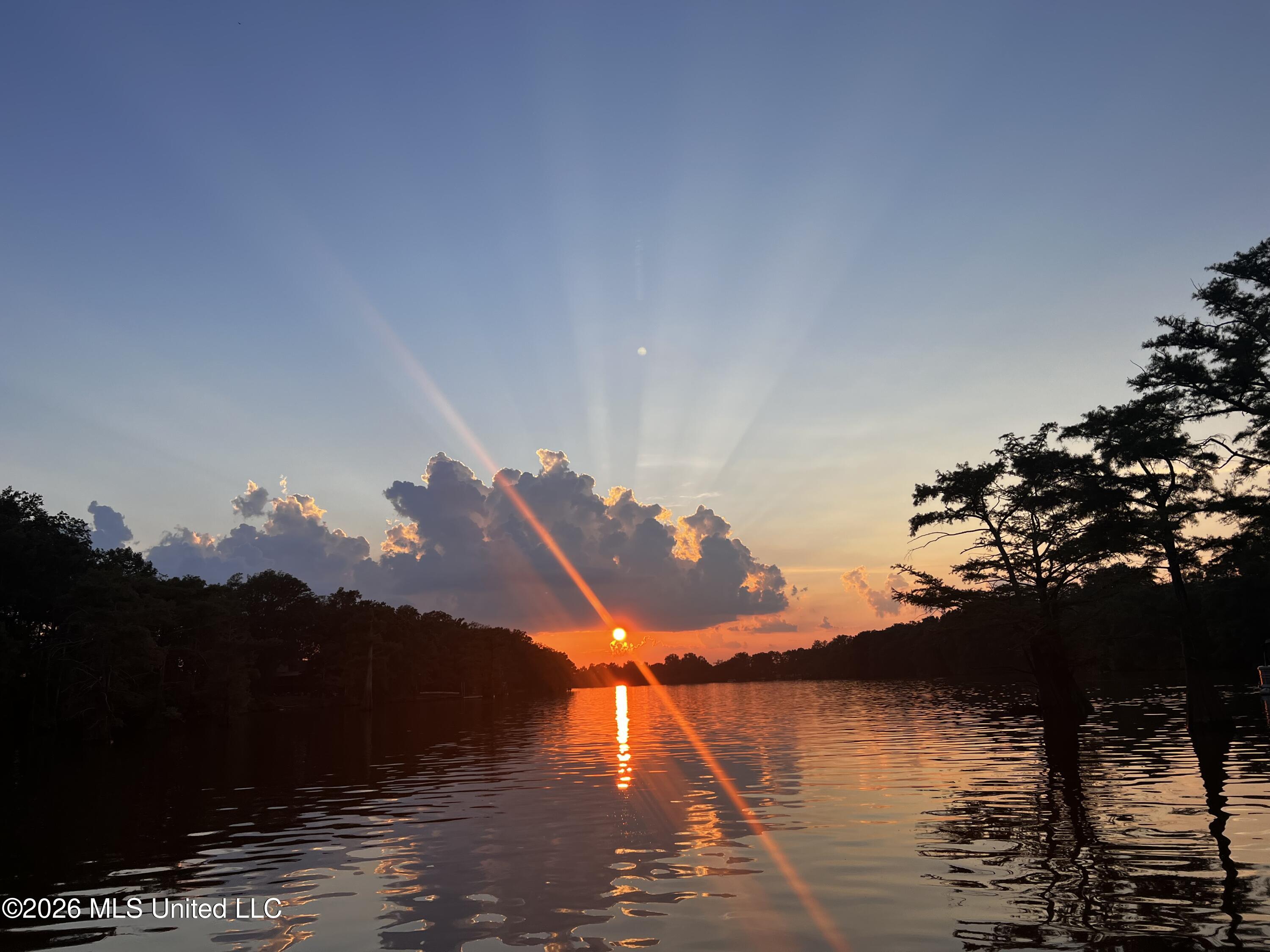 0 Deerfield Road Yazoo City, MS 39194 - Photo 13 of 26 IMG_6794