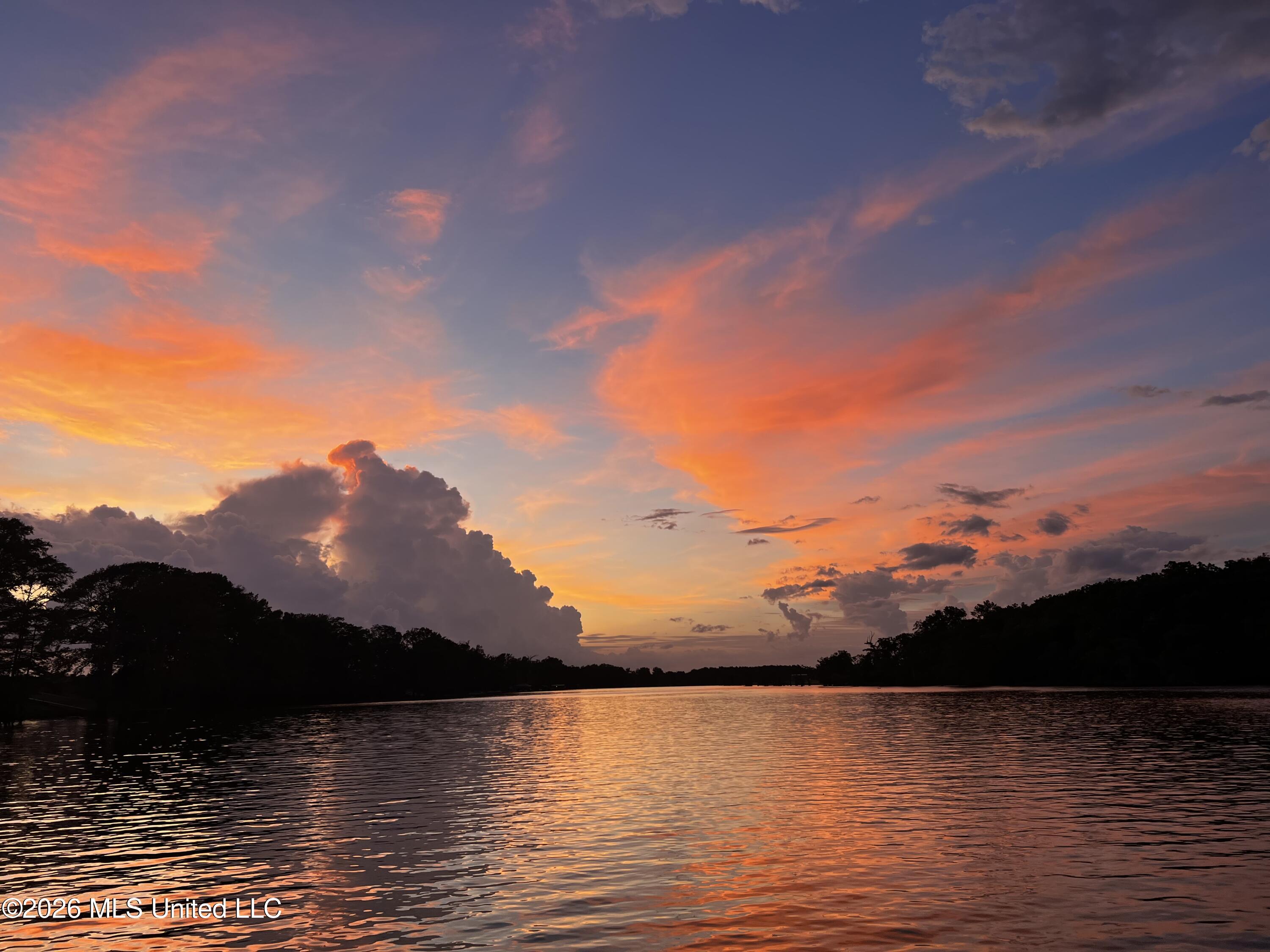 0 Deerfield Road Yazoo City, MS 39194 - Photo 18 of 26 IMG_6612
