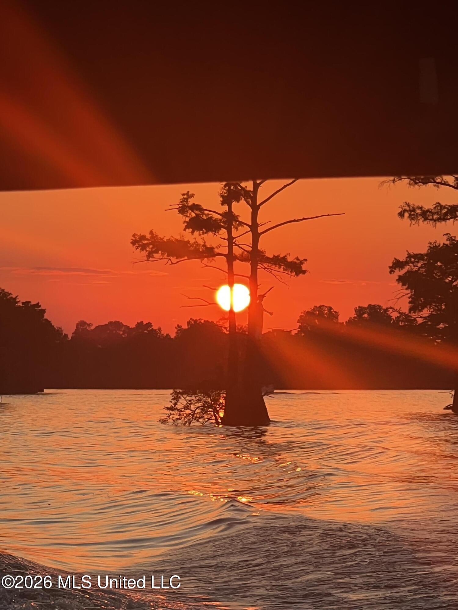 0 Deerfield Road Yazoo City, MS 39194 - Photo 25 of 26 IMG_6744