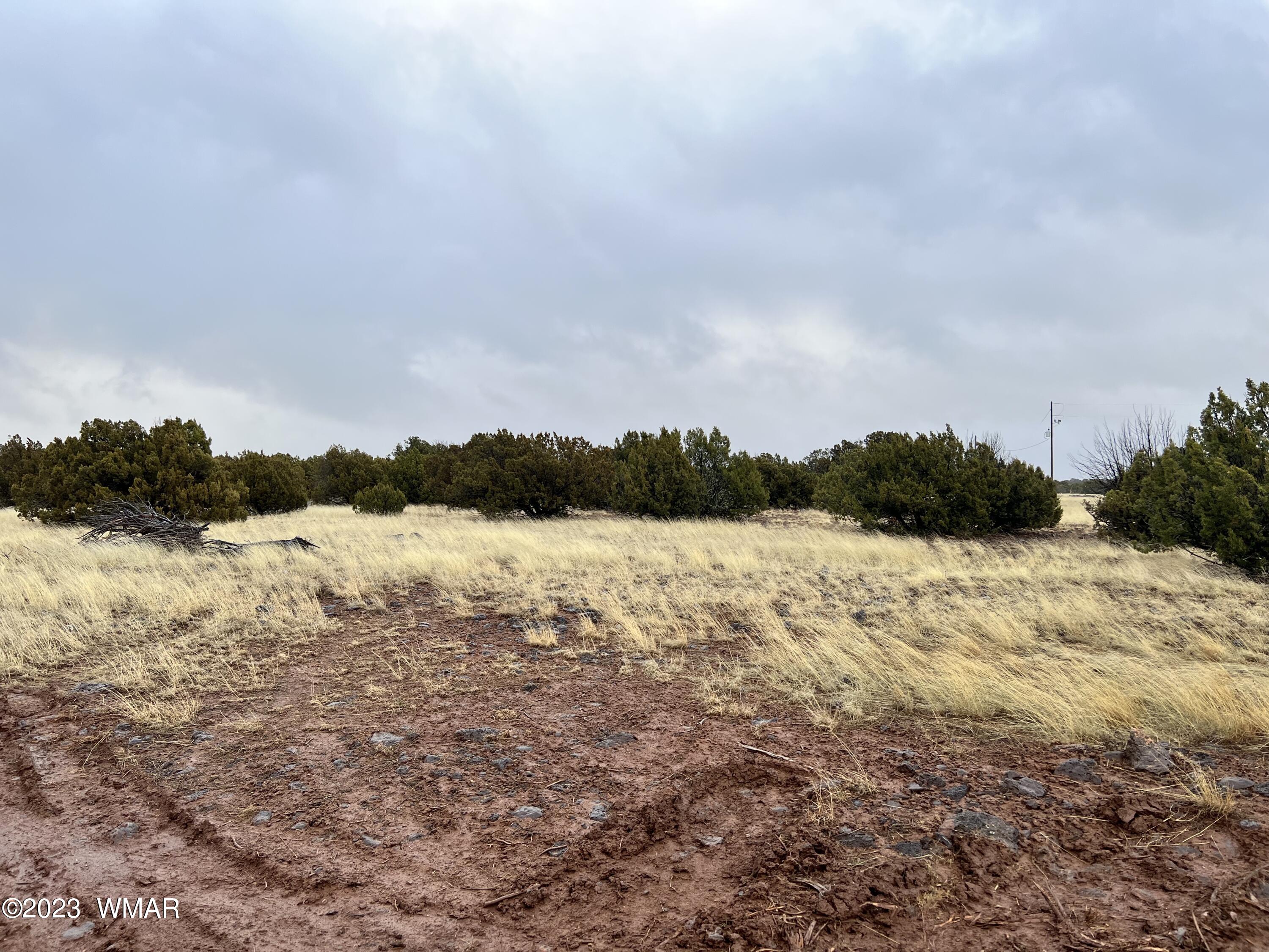 8547 Pine Ln Road Show Low, AZ 85901 - Photo 3 of 7