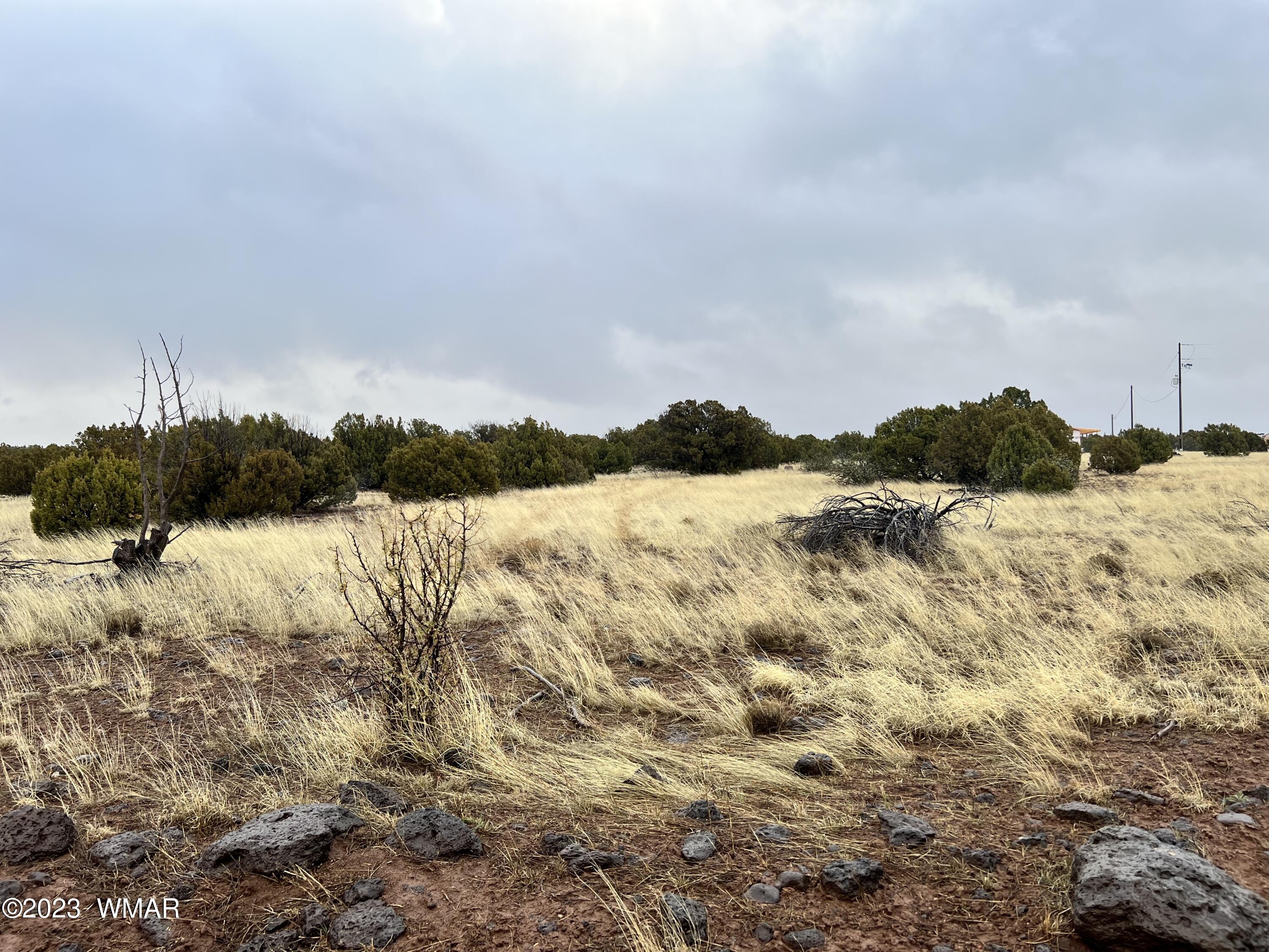 8547 Pine Ln Road Show Low, AZ 85901 - Photo 4 of 7
