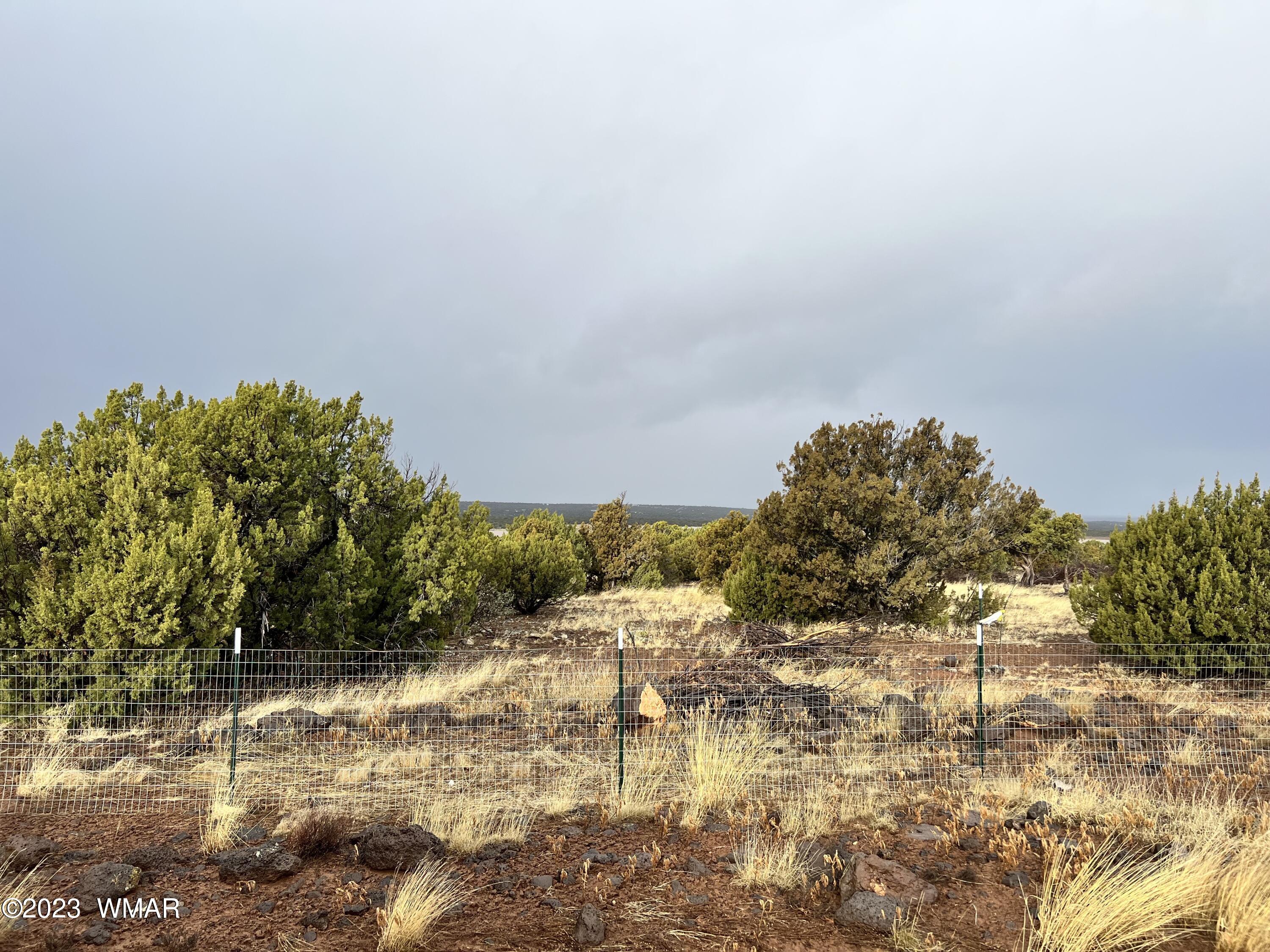 8547 Pine Ln Road Show Low, AZ 85901 - Photo 6 of 7
