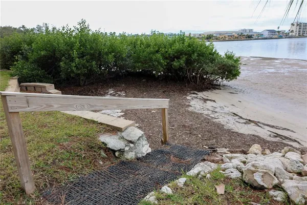 a view of a park with large trees