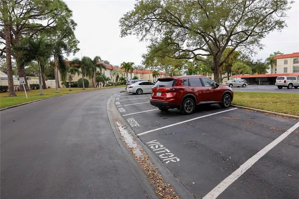 a view of a tennis ground with large trees