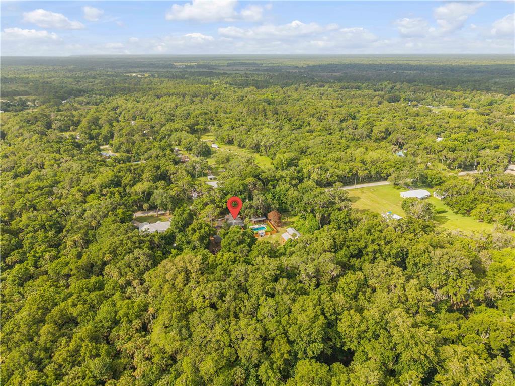 233 West Ariel Road Edgewater, FL 32141 - Photo 81 of 81