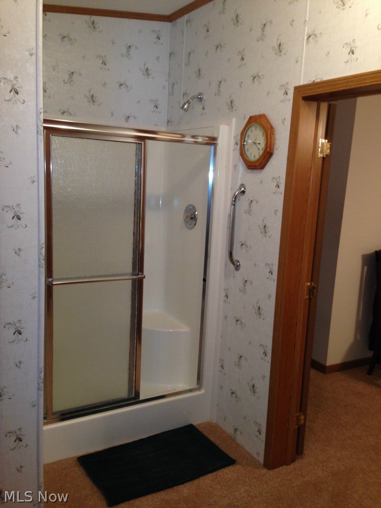 101 Morges Road Malvern, OH 44644 - Photo 13 of 18 Shower in master bath