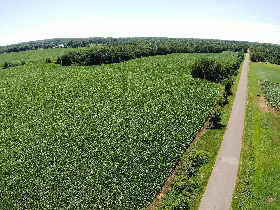 0 110th Street Frederic, WI 54837 - Photo 6 of 12