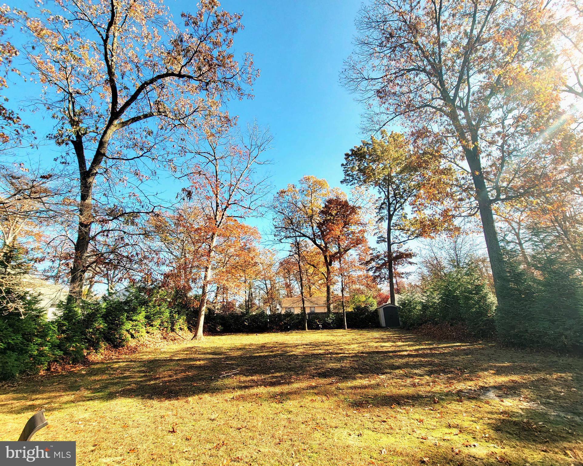 2 Virginia Road Glassboro, NJ 08028 - Photo 17 of 17 a view of a yard with a trees