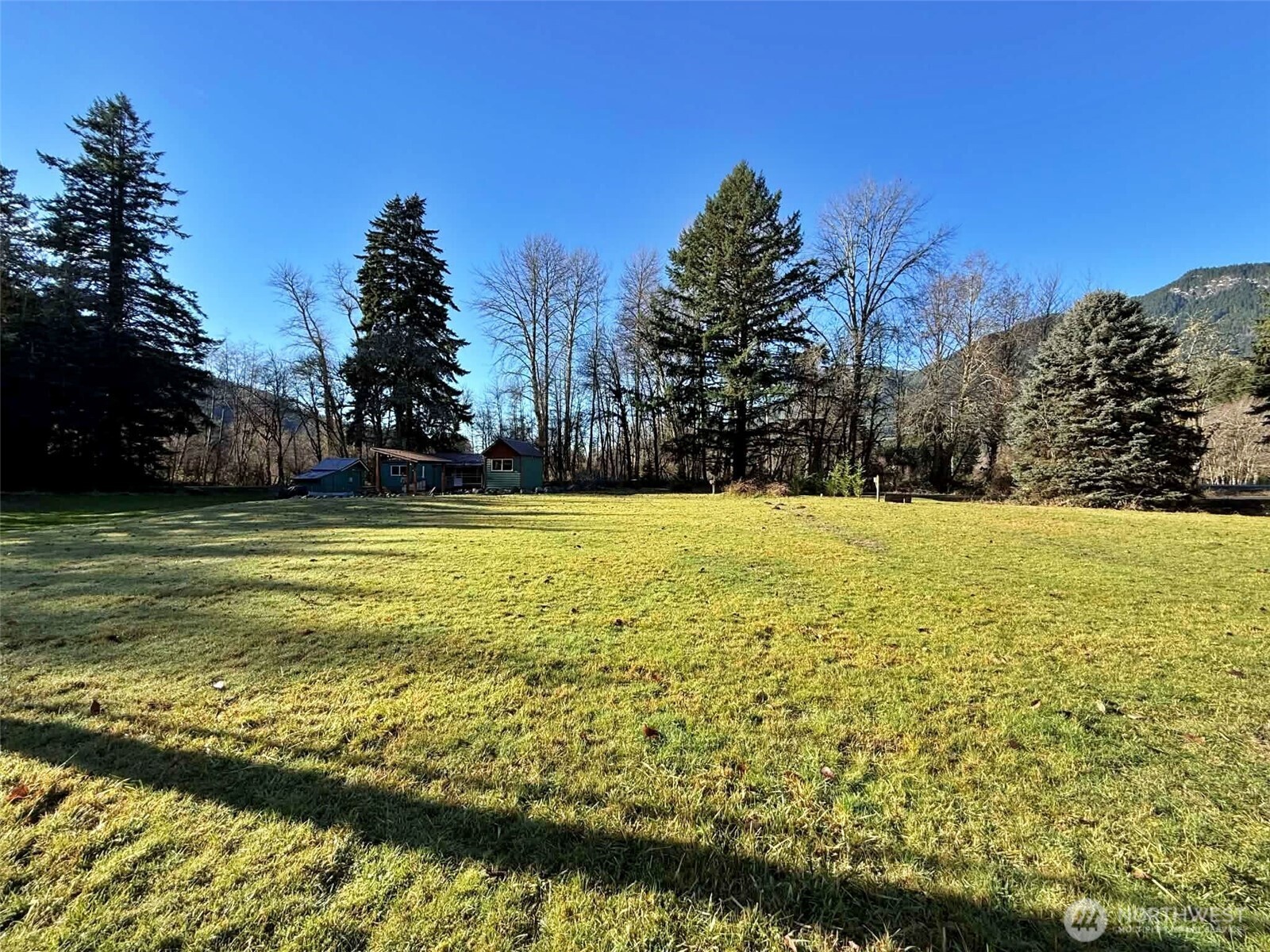 128 Kauer Road Randle, WA 98377 - Photo 5 of 20