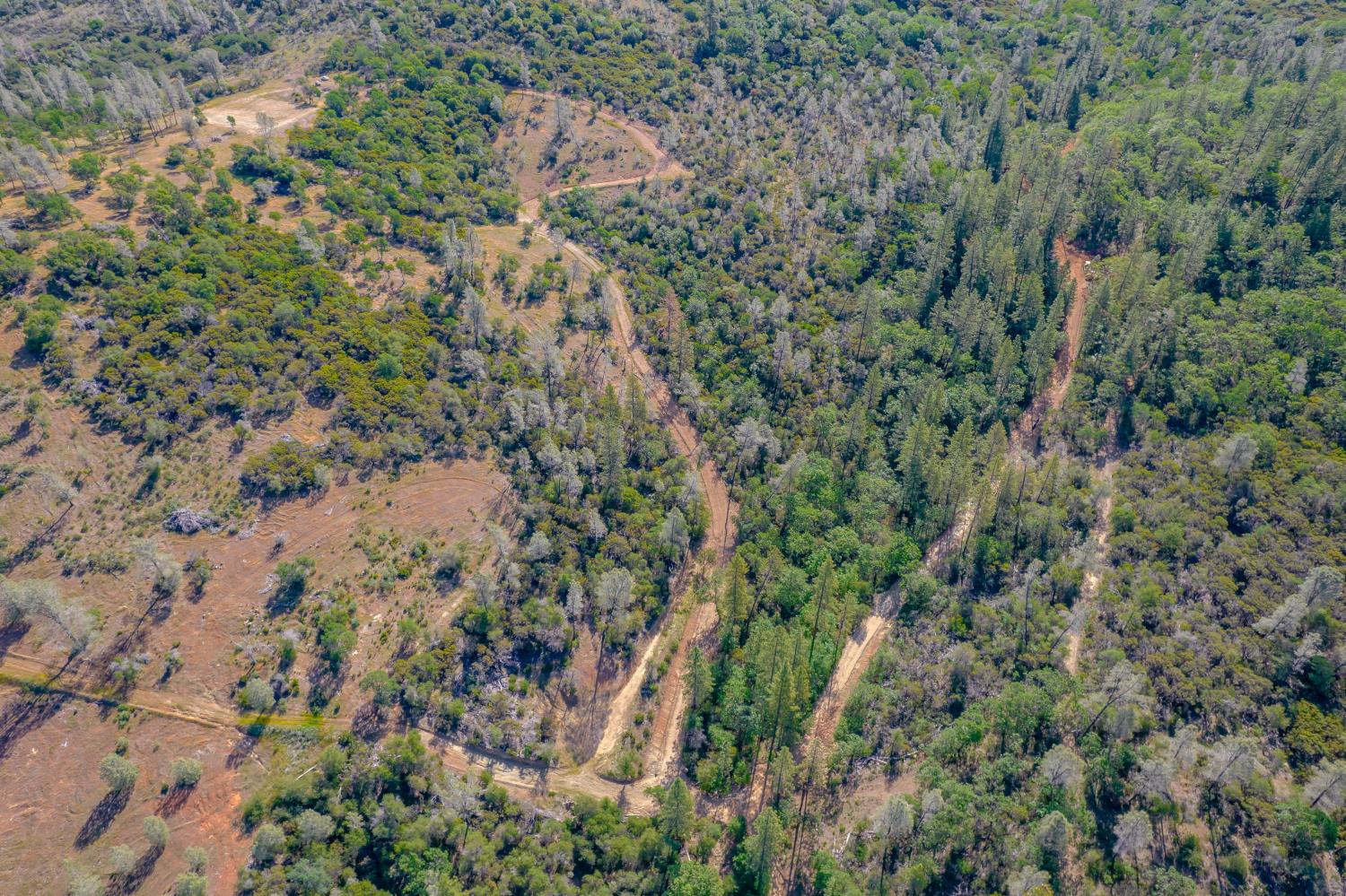 14040 Deadmans Flat Road Grass Valley, CA 95945 - Photo 3 of 15