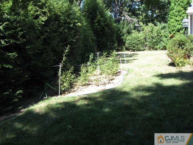 10 Glen Gary Road Middlesex, NJ 08846 - Photo 23 of 24 a view of yard with green space