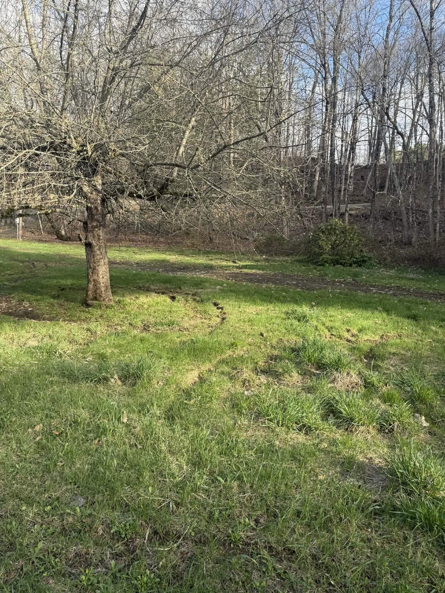 973 Wheeler Rand Road Charlestown, NH 03603 - Photo 14 of 33