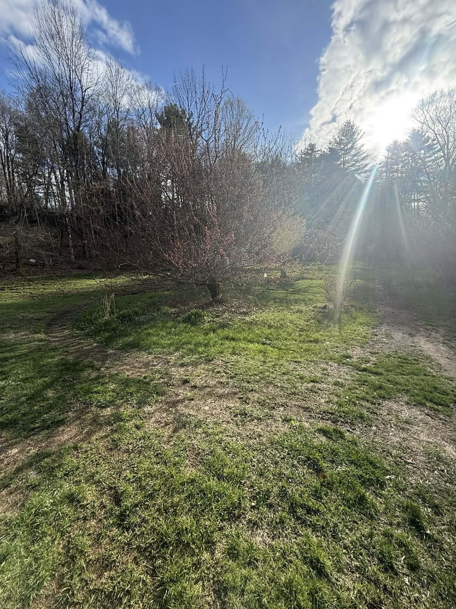 973 Wheeler Rand Road Charlestown, NH 03603 - Photo 15 of 33