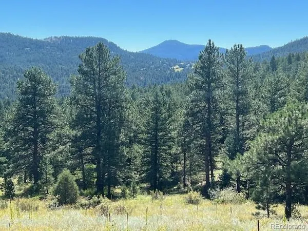 a view of a valley