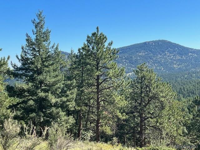 Barney Gulch Road Conifer, CO 80433 - Photo 12 of 12 a view of a large tree