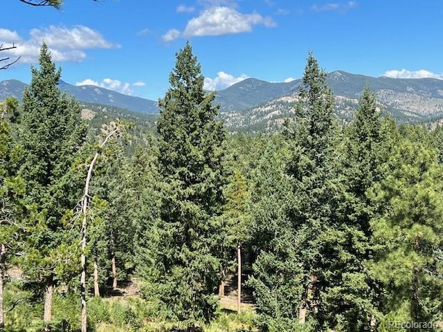 Barney Gulch Road Conifer, CO 80433 - Photo 3 of 12 a view of a tree in a yard