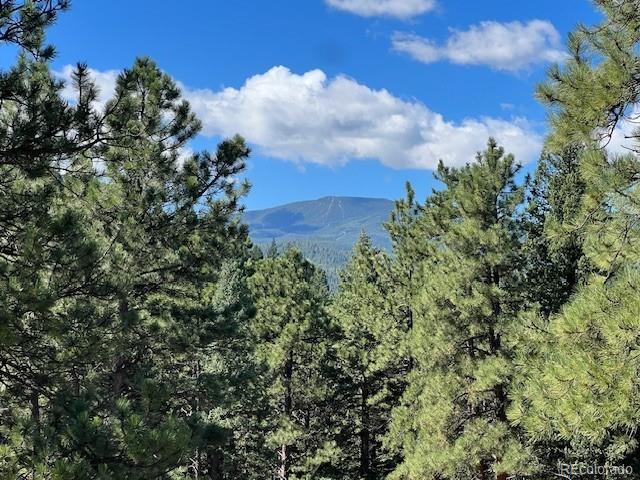 Barney Gulch Road Conifer, CO 80433 - Photo 5 of 12 a view of a bunch of trees