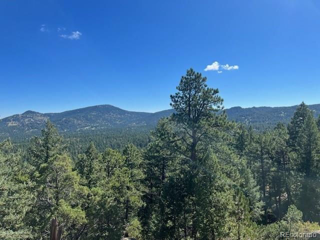 Barney Gulch Road Conifer, CO 80433 - Photo 6 of 12 a view of a city with a mountain in the background