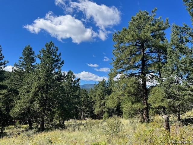 Barney Gulch Road Conifer, CO 80433 - Photo 7 of 12 a night view of a lake
