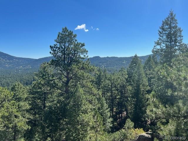 Barney Gulch Road Conifer, CO 80433 - Photo 8 of 12 a view of a city with a mountain in the background