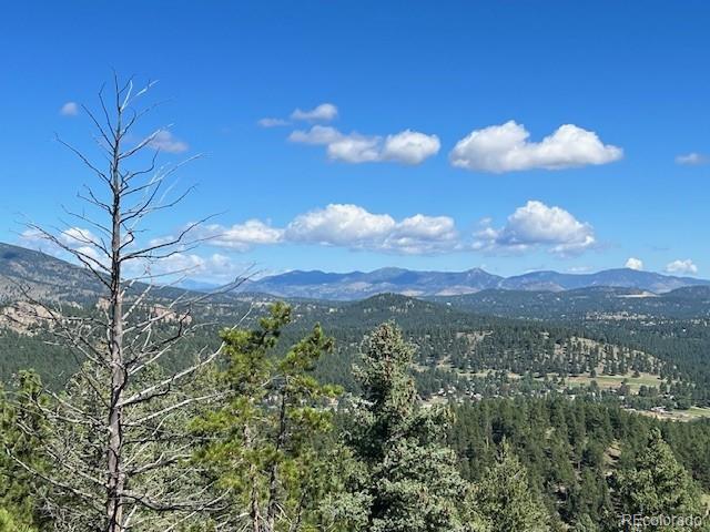 Barney Gulch Road Conifer, CO 80433 - Photo 9 of 12 a view of a city and mountains in the background