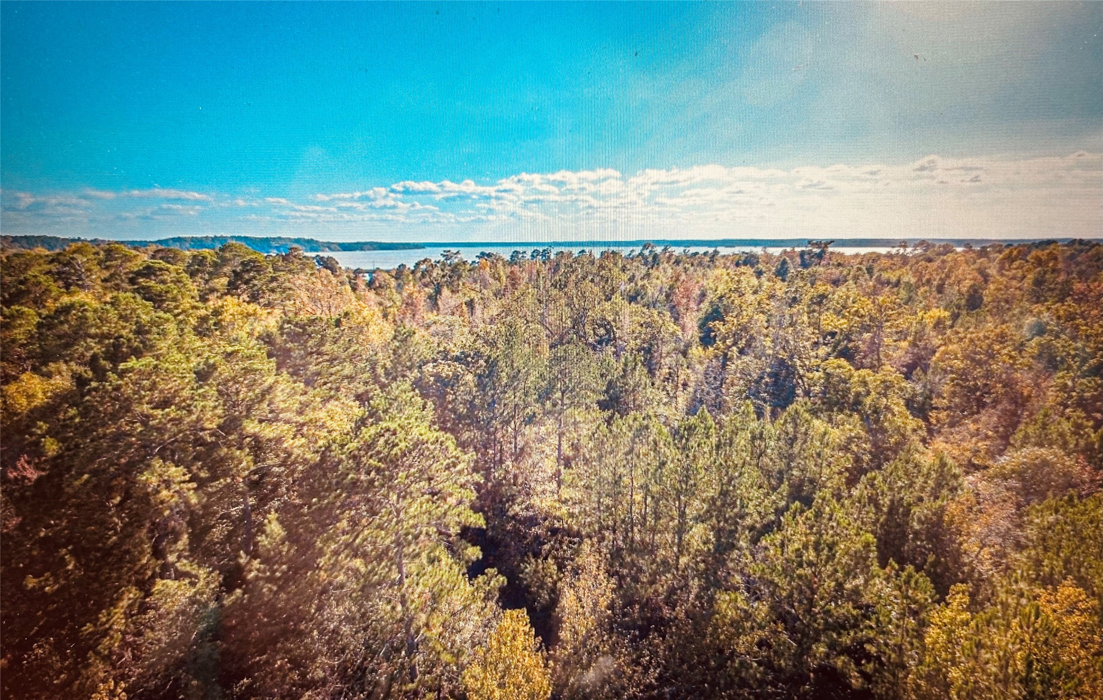 Tbd Adventure Trail Trinity, TX 75862 - Photo 3 of 6