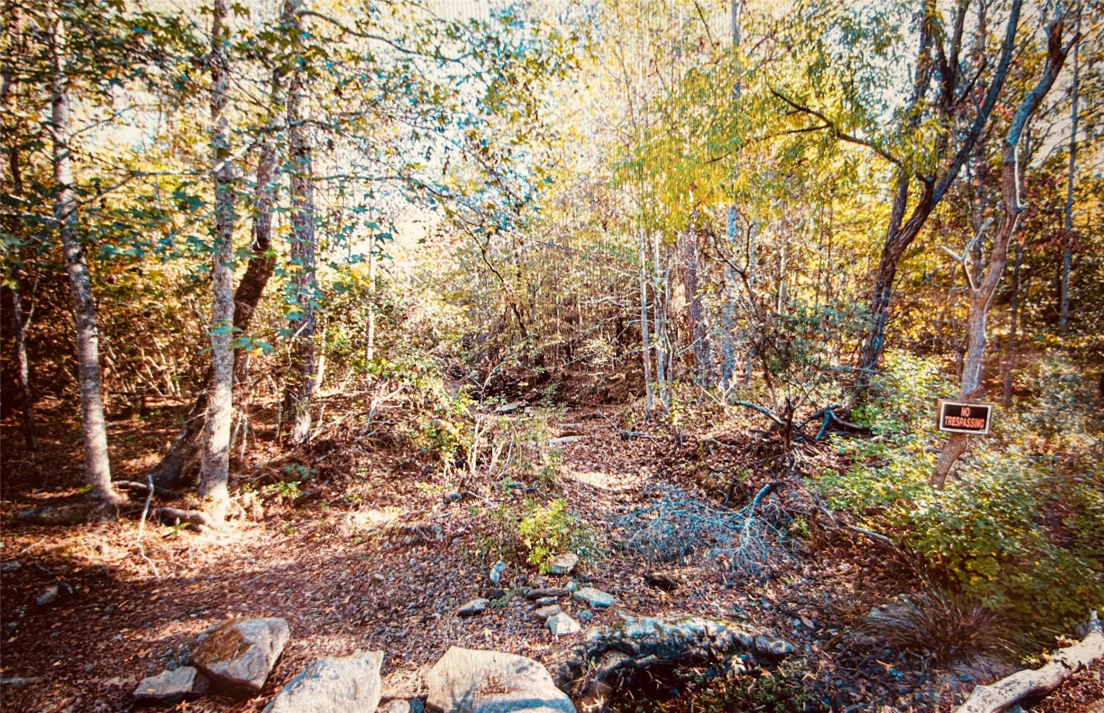 Tbd Adventure Trail Trinity, TX 75862 - Photo 4 of 6