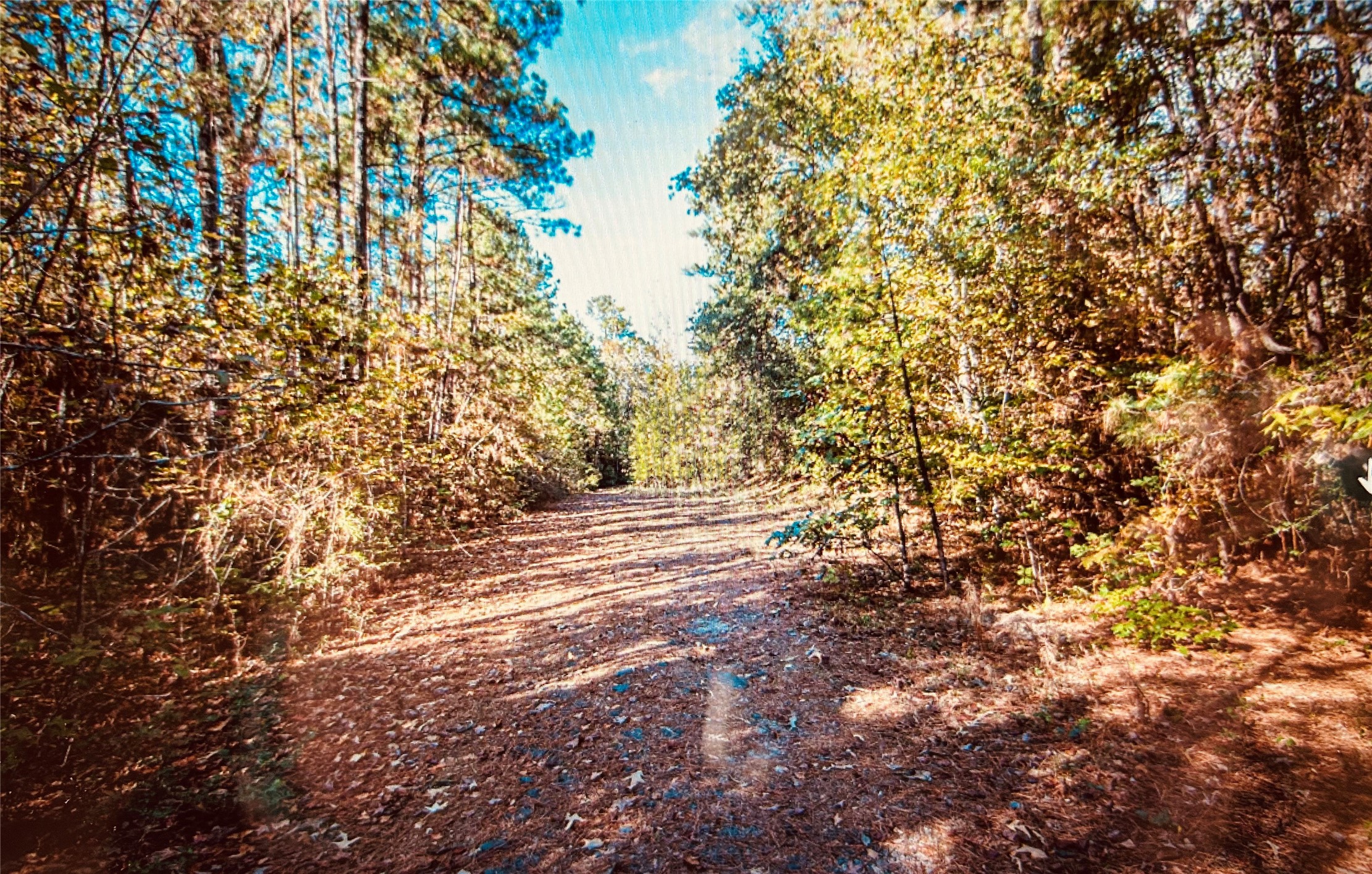 Tbd Adventure Trail Trinity, TX 75862 - Photo 5 of 6