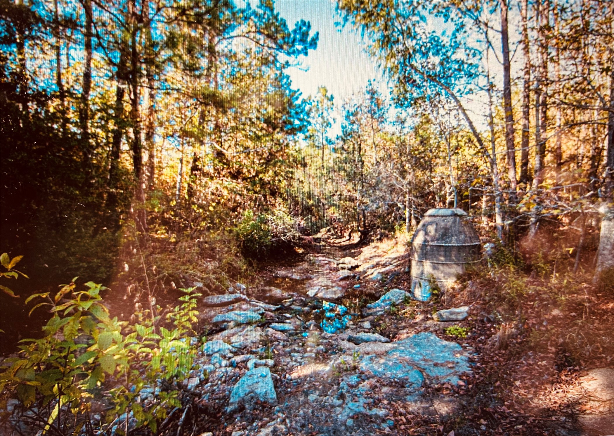 Tbd Adventure Trail Trinity, TX 75862 - Photo 6 of 6