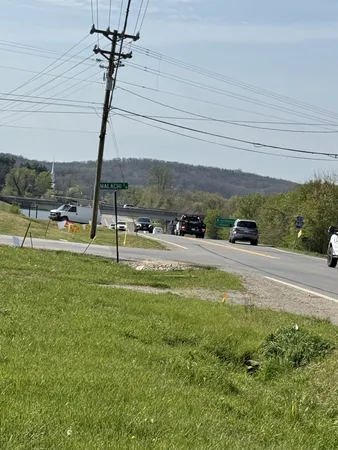a view of a garden with lawn chairs