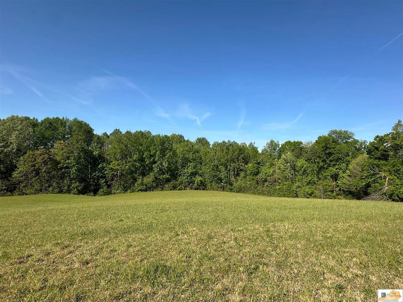2795 Sparksville Road Columbia, KY 42728 - Photo 4 of 13 Gallery Image 4